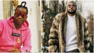 Speed Darlington mocks Tunde Ednut, says he is not a content creator