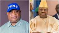 Ademola Adeleke’s bio: profile of PDP's Osun governorship candidate