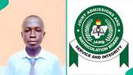 2026 UTME top scorer of Osun School score over 340 as 15 other students perform well, results trend