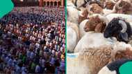 2026: US and other 11 countries where Eid al Adha are not public holidays