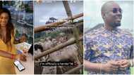 Obi Cubana's mum's burial: Talent manager Kara reacts, says 200 cows for a party is a bit too much