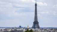 Paris says tough Airbnb rules 'working' as violations fall