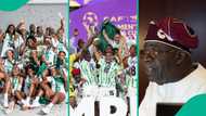 Tinubu’s govt provides major update on $100,000 reward for Super Falcons, D’Tigress