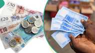 CBN gives new exchange rates as naira bounces back against British pound