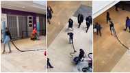 "Black Rapunzel": Lady in heels walks boldly with her long braids sweeping the floor, stuns Oyinbos in video