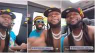 Davido rocks dreadlocks, speaks like Rasta man in funny video as he visits Jamaica with crew