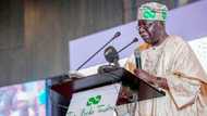 Separate yourself from Tinubu's dictatorship - APC chieftain tells northern senators