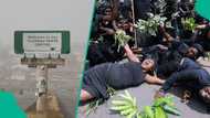 Breaking: Over 10 killed in Plateau state days after unknown gunmen murdered 13-yr-old herder