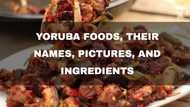 Top 10 Yoruba foods, their names, pictures, and ingredients