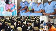 Full list: Lawyers, nurses others to pay more for membership as FG stops professional bodies, councils funding