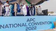 Convention: Full list of 54 consensus candidates endorsed by APC