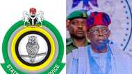 Did DSS raid code of conduct bureau for documents against Tinubu? Fresh details emerge