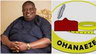 Popular lawyer attacks southeast governors, makes demand from Ohaneze Ndigbo