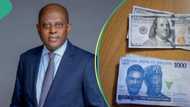 More than N1,500/$: Naira hits new record low after CBN sets limits on banks' forex operations