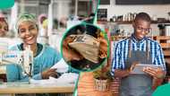 Nigerian state gives out N1 billion interest-free loans to 1,500 MSMEs, more beneficiaries coming