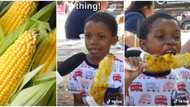 "I can't imagine a more beautiful thing": Cute kid praises corn passionately in street interview in viral clip
