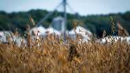 US farmers hit by trade war to get 'substantial' aid: Treasury chief