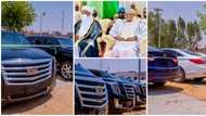 Photos emerge as northern governor buys brand-new Cadillac, luxury cars for 260 traditional rulers