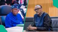 Nigerians react as presidency shares AI-linked image of Tinubu, Kagame Paris meeting