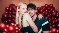 The beautiful Joe Jonas and Sophie Turner love story