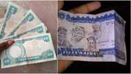 When our money still had value: Massive reactions as photos of old naira notes emerge on social media