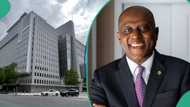 World Bank praises CBN governor Yemi Cardoso’s policies on naira, interest rate, gives reasons