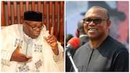 Finally, Peter Obi reacts to conviction of his campaign DG Doyin Okupe over money laundering