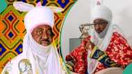 "Da kun yi koyi da magabatanku": Farfesa ya shawarci Aminu Ado da Sanusi II