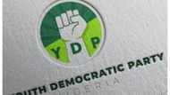 2023: Battle formations begin as Youth Party sends letter of intent to INEC