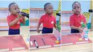 "Which school is this?" Brilliant little girl smartly explains living and non-living things, video goes viral