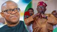 Peter Obi blasts Tinubu for saying Nigerians not alone in poverty: “Offer solutions not excuses”