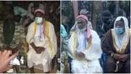 Bandits’ attacks: Ohanaeze demands Immediate arrest of Sheikh Gumi