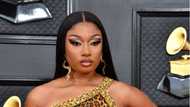 Megan Thee Stallion's bio: Age, height, net worth, boyfriend