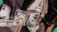New exchange rate as naira appreciates by 1.6% against US dollar