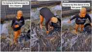 "Are you not scared?" Nigerian lady dances inside fish pond, shows off her lucrative business