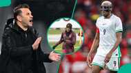 AFCON 2025: Okan Buruk sends message to Victor Osimhen as striker returns to Galatasaray