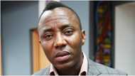 Da dumnsa: Jami'an tsaro sun damke Omoyele Sowore, an kaishi Abbatoir