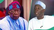 “Nigeria risks civil war”: Buba Galadima warns Tinubu over appointment of new INEC chairman