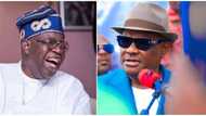 Trouble in Atiku, Obi's camp as Wike, other G5 governors move to meet with Tinubu in 'the abroad'