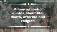 50+ funny agnostic quotes about life, death, afterlife and religion