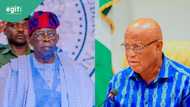 Influential PDP governor explains why he can't fight Tinubu