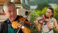 Talented man creates violins using only berries and pears, says someone challenged him to do it