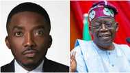 "You should be grateful to Tinubu's Lagos for helping you": Twitter user engages Bovi in heated exchange