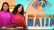 BBNaija Season 9: Niece and aunty pair "Ndinne" cause stir online as they make it to the show