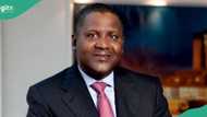 Dangote’s wealth declines by $455 million in 24 hours amid sell-off in cement company's shares