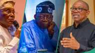 2027 election: Party Obi, Atiku, other allies may join to battle Tinubu emerges as APC remains silent