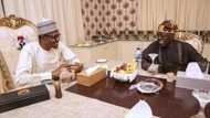 Buhari's interview: Presidency insists Lagos reference has nothing to do with Tinubu