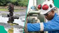 Seplat plans 17 new wells in 2026, targets 155,000 barrels per day output