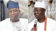 Yoruba elders group urge southwest governors, others to support Gani Adams, Sunday Igboho