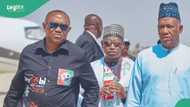 Why the new coalition may collapse, Peter Obi’s former VP candidate speaks